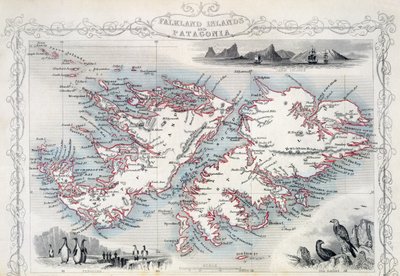 Falkland Islands and Patagonia, from a Series of World Maps published by John Tallis and Co., New York and London, 1850s by John Rapkin